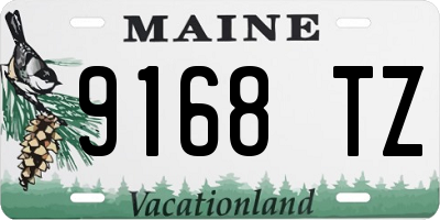 ME license plate 9168TZ