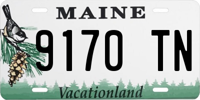 ME license plate 9170TN