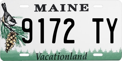 ME license plate 9172TY