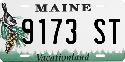 ME license plate 9173ST