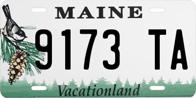 ME license plate 9173TA