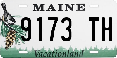 ME license plate 9173TH
