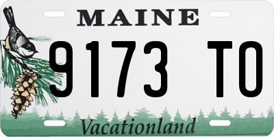 ME license plate 9173TO