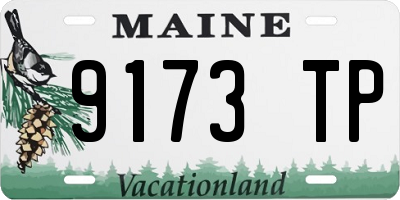ME license plate 9173TP