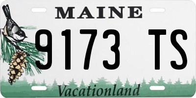 ME license plate 9173TS