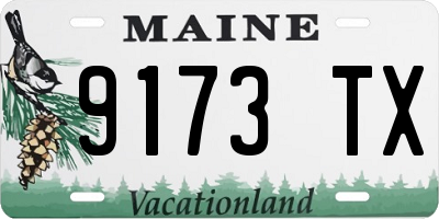 ME license plate 9173TX