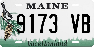 ME license plate 9173VB