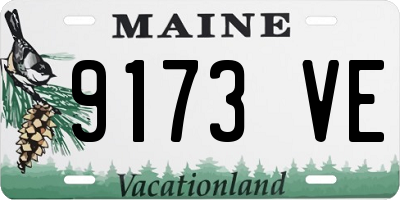 ME license plate 9173VE