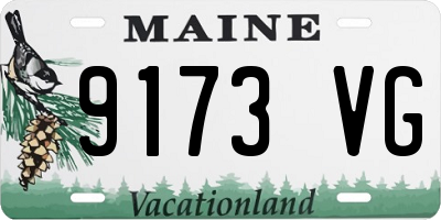 ME license plate 9173VG