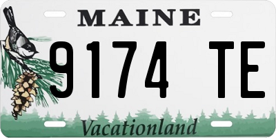 ME license plate 9174TE