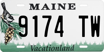 ME license plate 9174TW