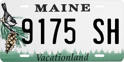 ME license plate 9175SH