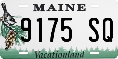 ME license plate 9175SQ
