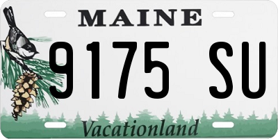 ME license plate 9175SU