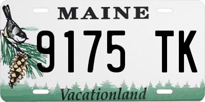 ME license plate 9175TK