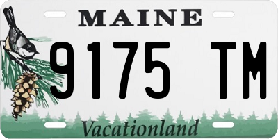 ME license plate 9175TM