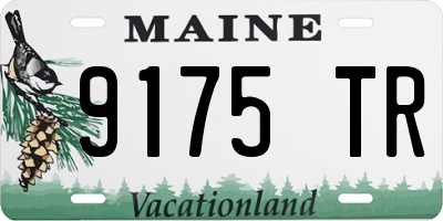 ME license plate 9175TR