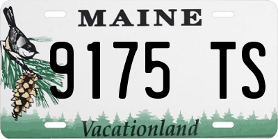 ME license plate 9175TS