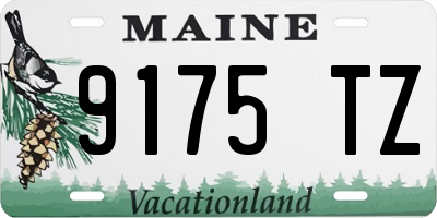 ME license plate 9175TZ