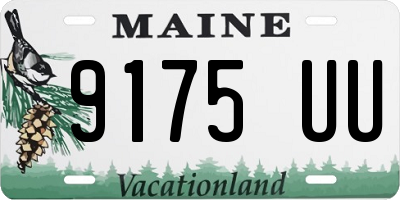 ME license plate 9175UU