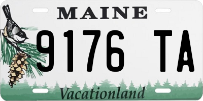 ME license plate 9176TA