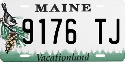 ME license plate 9176TJ