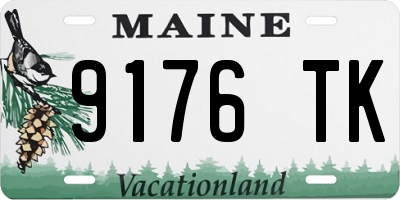 ME license plate 9176TK