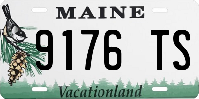 ME license plate 9176TS