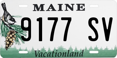ME license plate 9177SV
