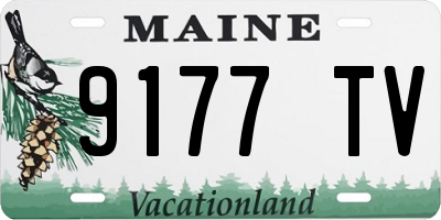 ME license plate 9177TV