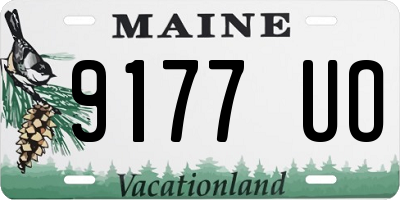 ME license plate 9177UO