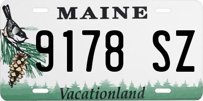 ME license plate 9178SZ