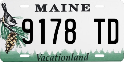 ME license plate 9178TD
