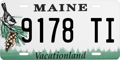 ME license plate 9178TI