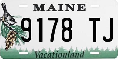 ME license plate 9178TJ