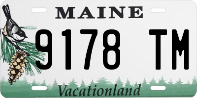 ME license plate 9178TM
