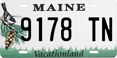 ME license plate 9178TN