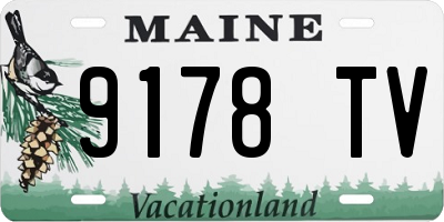 ME license plate 9178TV
