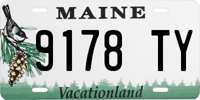 ME license plate 9178TY
