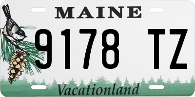 ME license plate 9178TZ