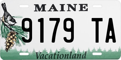 ME license plate 9179TA