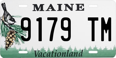 ME license plate 9179TM