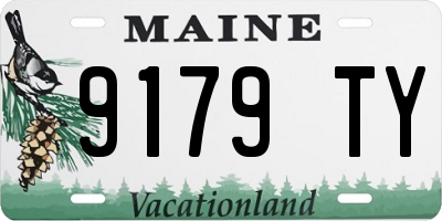 ME license plate 9179TY