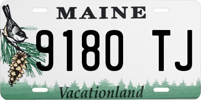 ME license plate 9180TJ