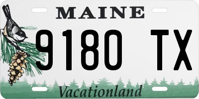 ME license plate 9180TX