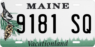 ME license plate 9181SQ