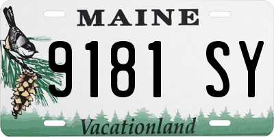ME license plate 9181SY