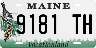 ME license plate 9181TH