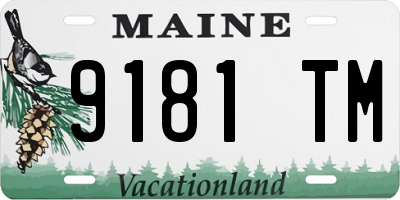 ME license plate 9181TM