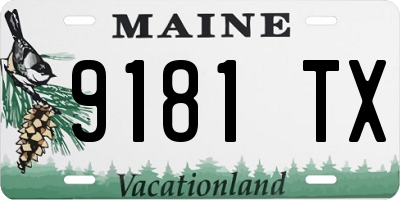 ME license plate 9181TX